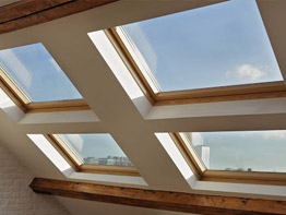 Réparateur installateur de velux 46